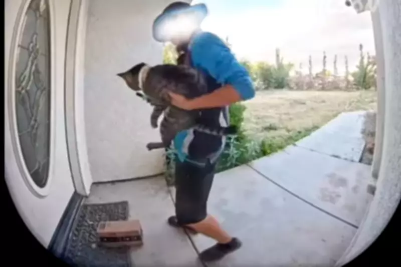 Amazon Driver Accused of Stealing Family Cat in Bakersfield