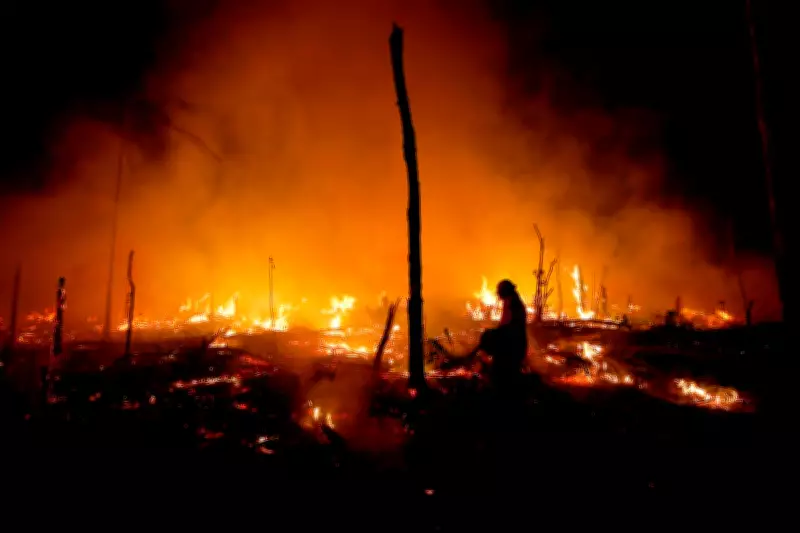 Amazon Forest Degradation Threatens Brazil's Deforestation Gains