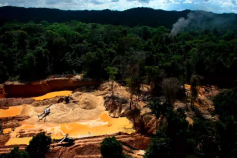 Amazon Indigenous Groups Urge UN to Fight Crime Without Militarization