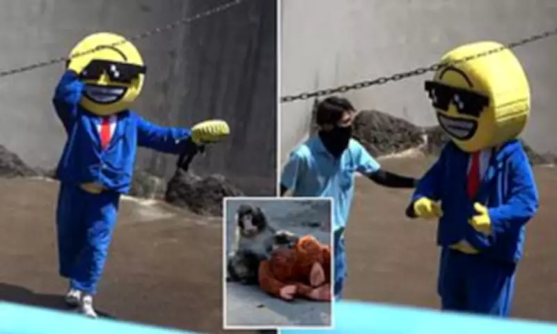 American Tourist Dressed as Emoji Jumps Into Monkey Enclosure in Japan, Arrested