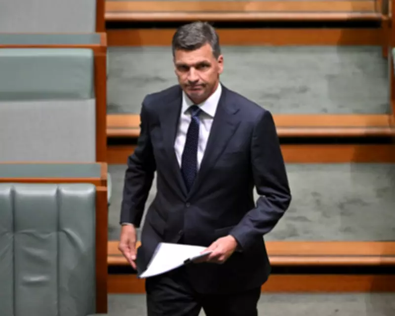Angus Taylor Unveils Tax Plan as Coles Faces Record Fines