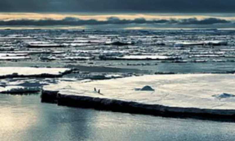 Antarctica Hit by Triple Whammy of Climate Chaos, Sea Ice at Record Lows