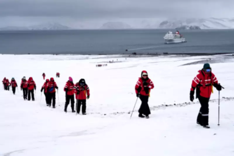 Antarctica Tourism Surge Raises Contamination and Illness Risks