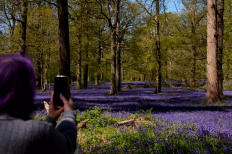 Arctic Air Brings Cooler Temperatures and Frost to UK This Week