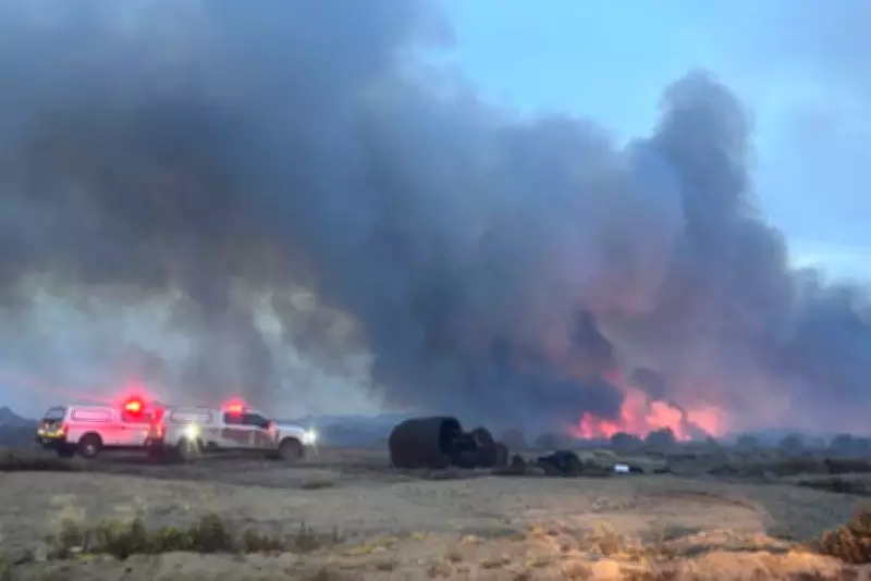Arizona Wildfire Scorches Nearly 1,000 Acres, Described as 'War Zone'