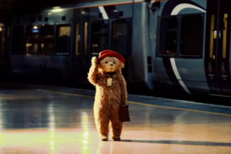 Armando Iannucci to Write Paddington 4, Fans Delighted