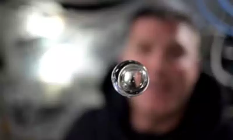 Artemis II Astronauts Play with Water Droplet in Space, Forming Perfect Sphere