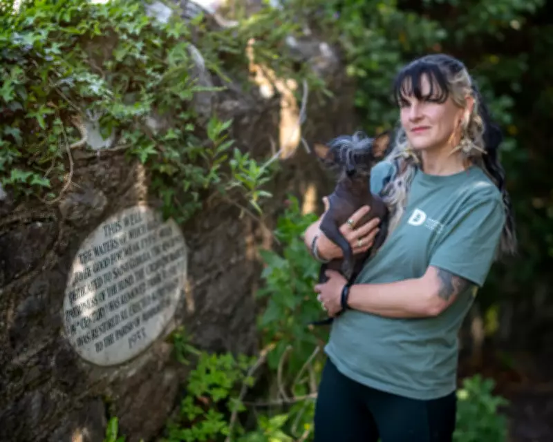Ashburton's Folklore Festival Draws New Believers to Devon Town