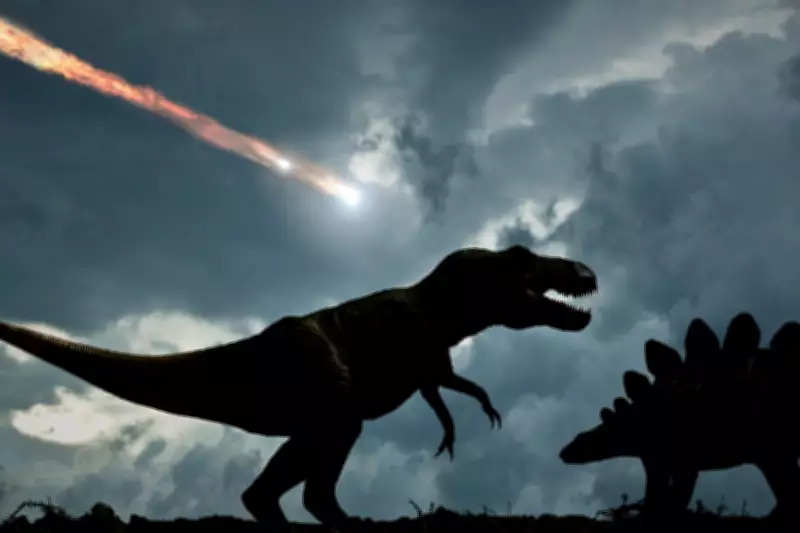 Asteroid Armageddon Timeline: From First Vibrations to Extinction