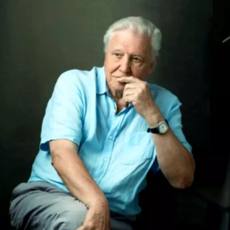 Attenborough Narrates Blue Planet III for 100th Birthday
