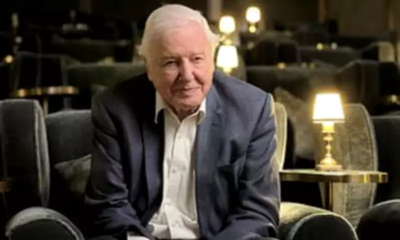 Attenborough's Gorilla Encounter: A Defining Moment in a Legendary Career