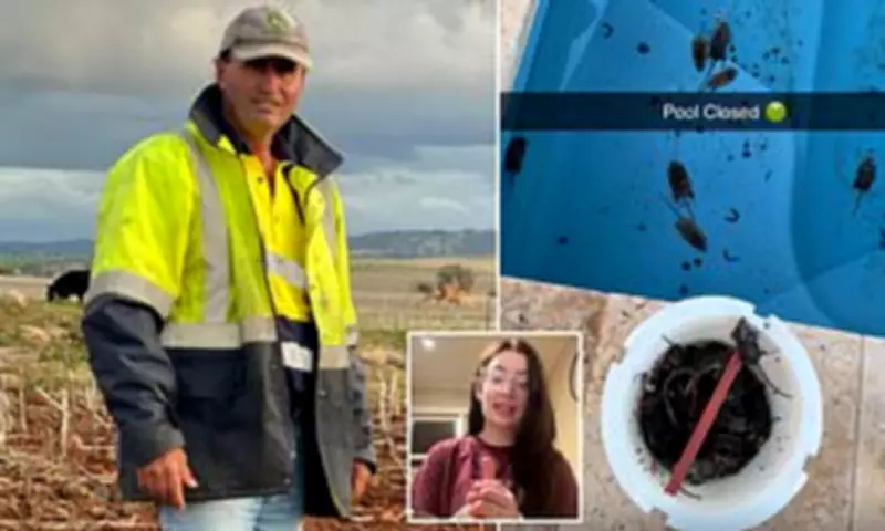 Australian Farmers Battle Devastating Mouse Plague Infesting Homes