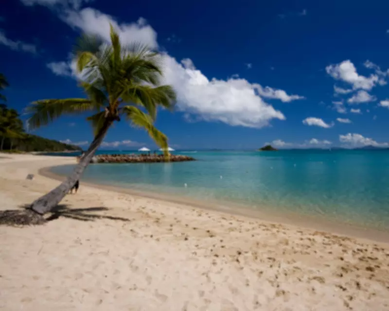 Australia's Great Barrier Reef Island Resorts Face Uncertain Future