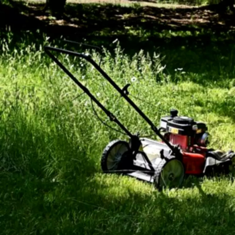 Avoid Mowing Your Lawn This Bank Holiday Weekend, Experts Warn