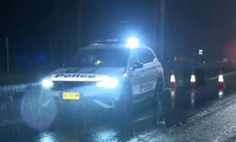Baby and Man Die in Sydney L-Plater Crash