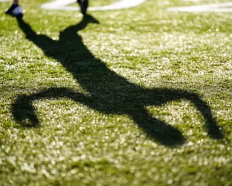 Bat Dog Program Suspended After Top Dodgers Prospect Injured