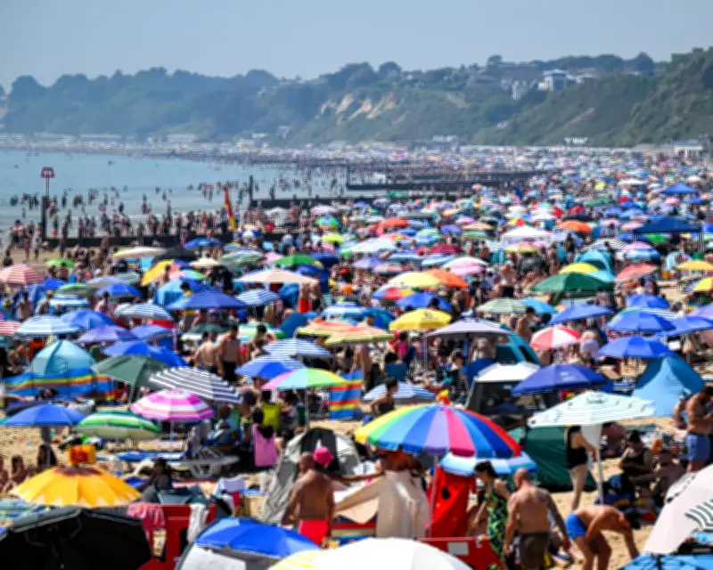 Beach Shade Wars: Oversized Canopies Spark Global Conflicts