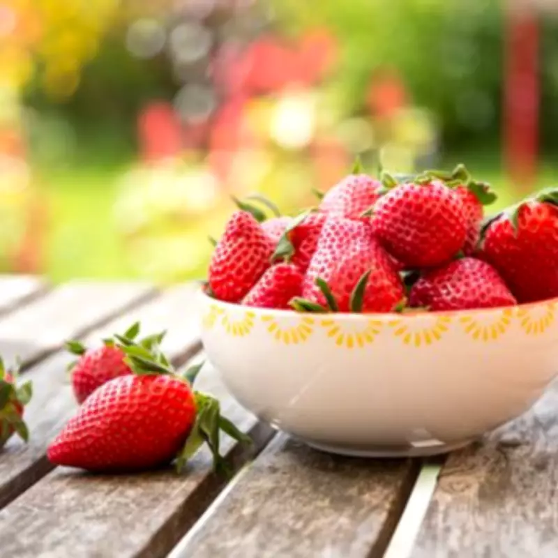 Beachgoers Hail 'Genius' Strawberry and Chocolate Hack This Summer