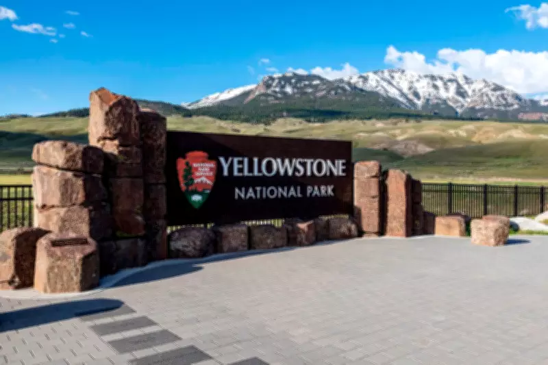 Bear Attack Injures Two Hikers on Yellowstone's Mystic Falls Trail