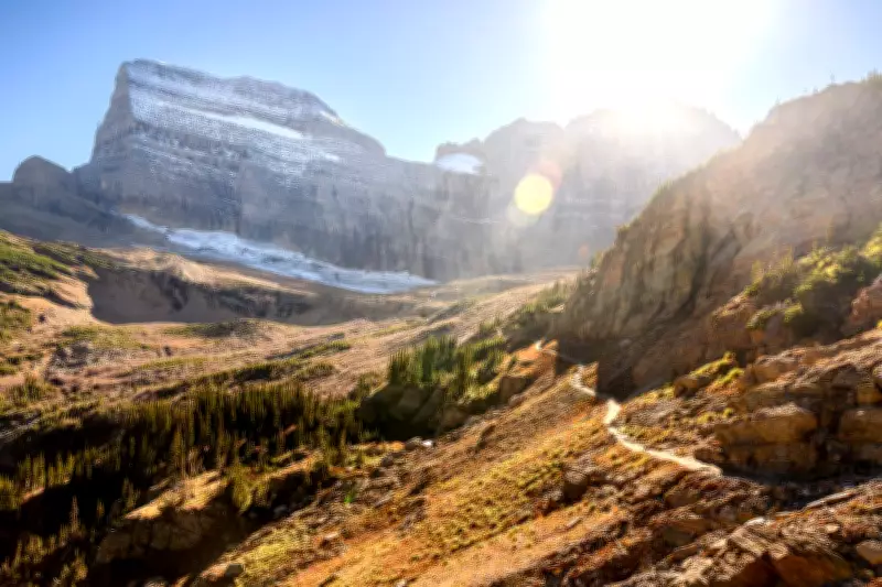 Bear Attacks Hiker in Montana Park Weeks After Fatal Incident