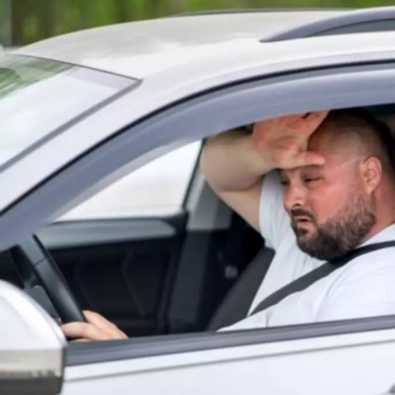 Beat the Heatwave: Press This Button to Keep Your Car Cool on Long Drives