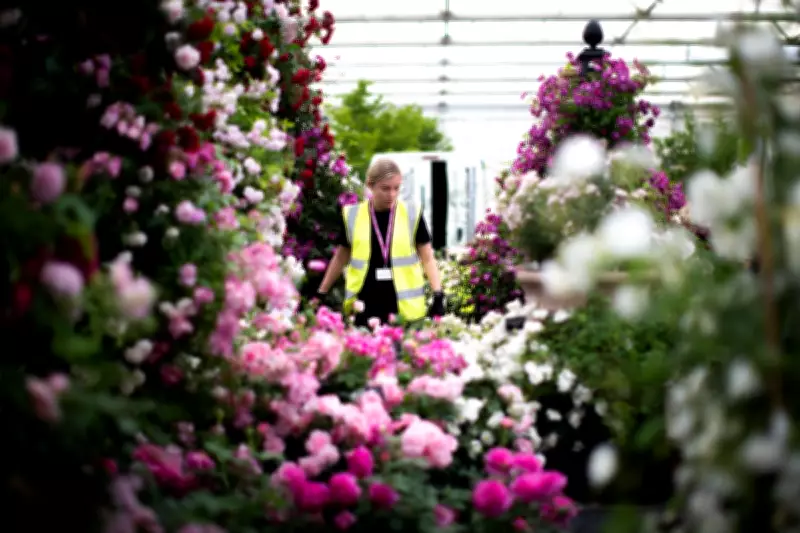 Behind the Scenes at RHS Chelsea Flower Show: Designers' Secrets Revealed