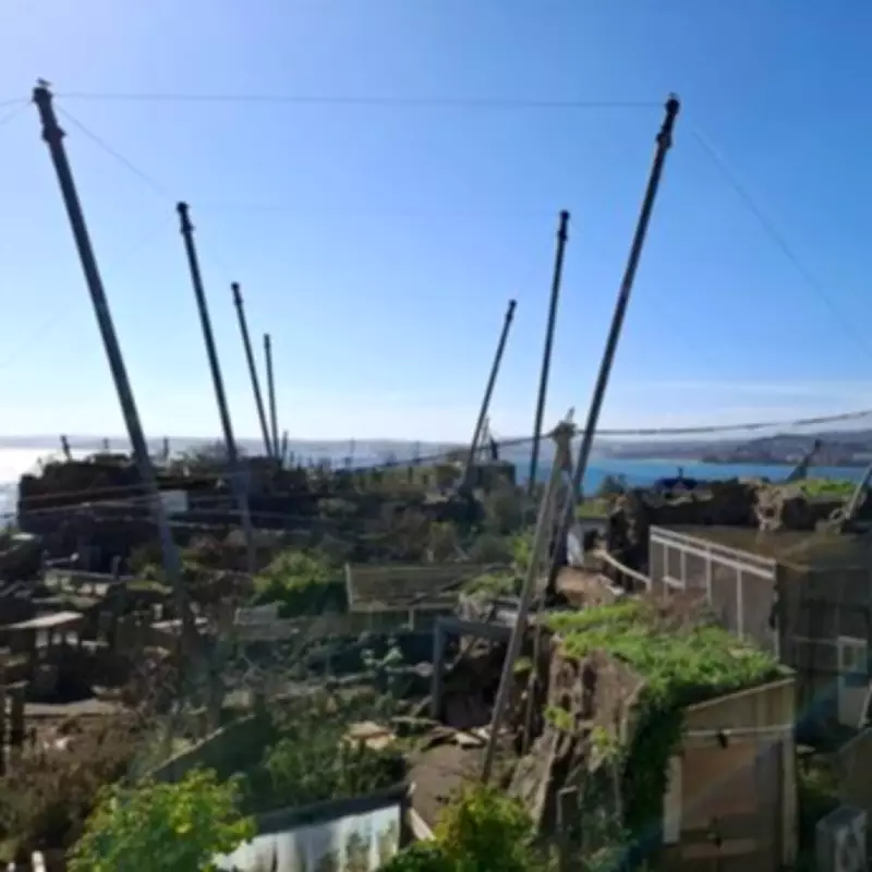 Beloved Devon Zoo Living Coasts Forced to Close After 17 Years