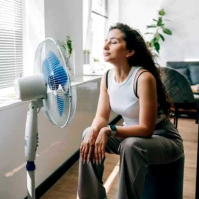 Best Direction to Point an Electric Fan for Coolest Air in UK Heatwave