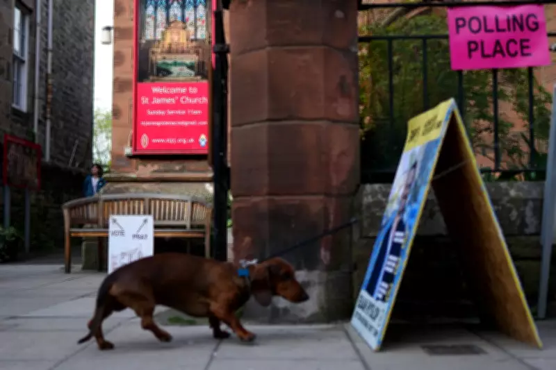 Best Dogs at Polling Stations: Furry Friends Join Voters Across UK