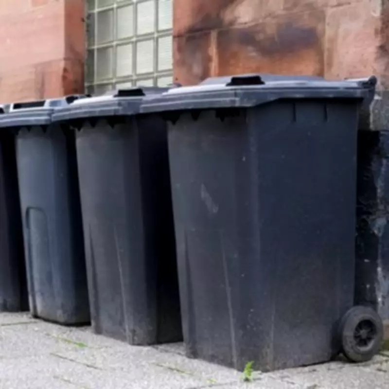 Binmen Warn: Never Put Carpets in Wheelie Bins or Risk Non-Collection