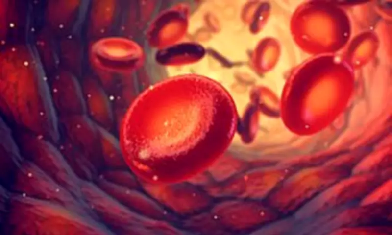 Blood Test May Predict Heart and Kidney Disease Years Early