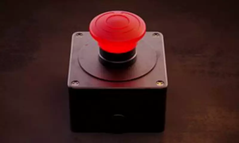 Blue or Red Button Dilemma: Mathematician Weighs In on Viral Ethical Debate