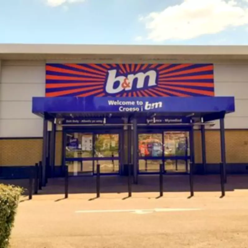 B&M's £7 Solar String Light 'Illuminates Gardens' Like £34 Argos Rival