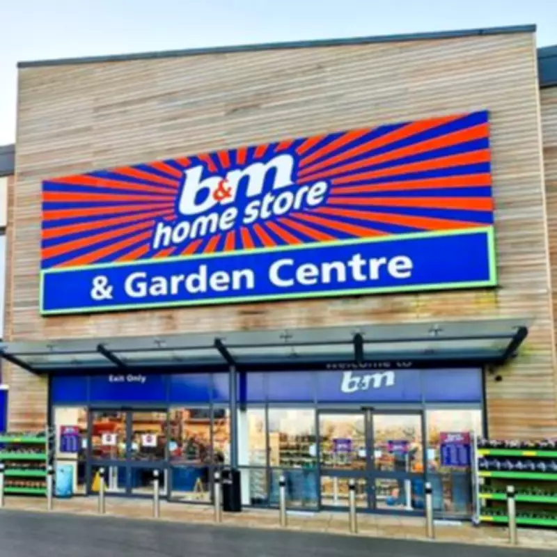 B&M's £8 Tulips in Glass Vase Triggers 'Low Stock' Alert