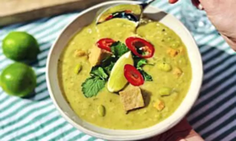 Bol Protein Thai Green Curry: Convenient Plant-Based Nutrition Review