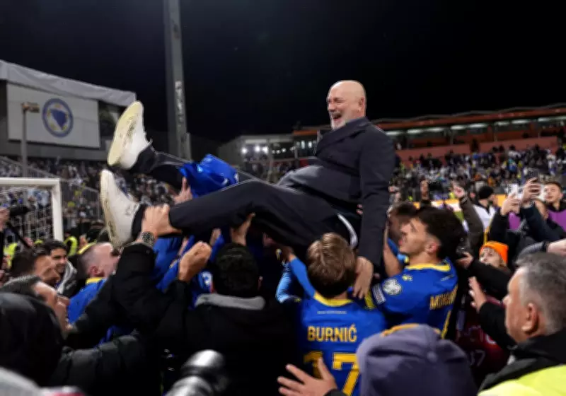 Bosnia's World Cup Journey: Barbarez's Passionate Rebuild