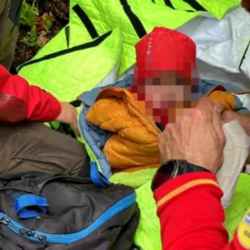Boy, 5, Found Alive After Three Days in Bear-Infested Romanian Forest