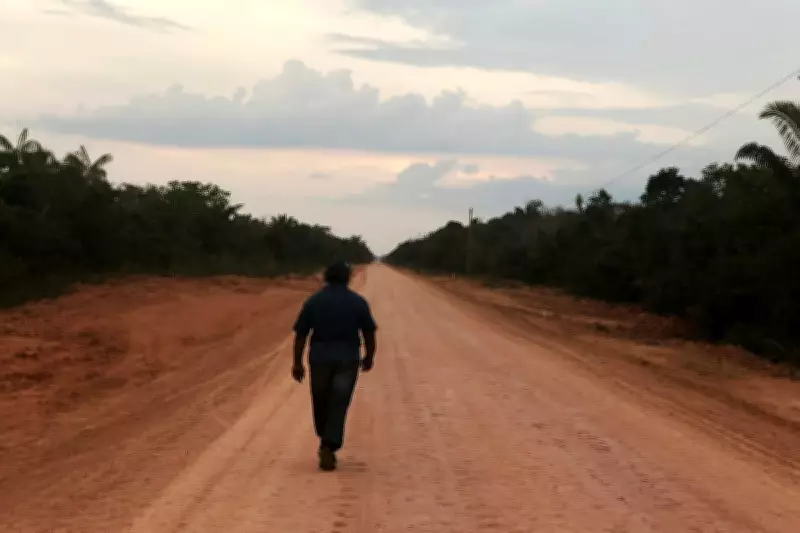 Brazil Invests $75M in Amazon Highway, Unveils Environmental Plan