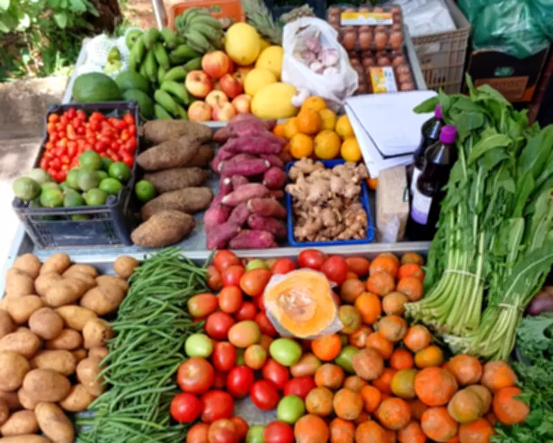 Brazil's Hospitals Lead the Fight Against Ultra-Processed Foods