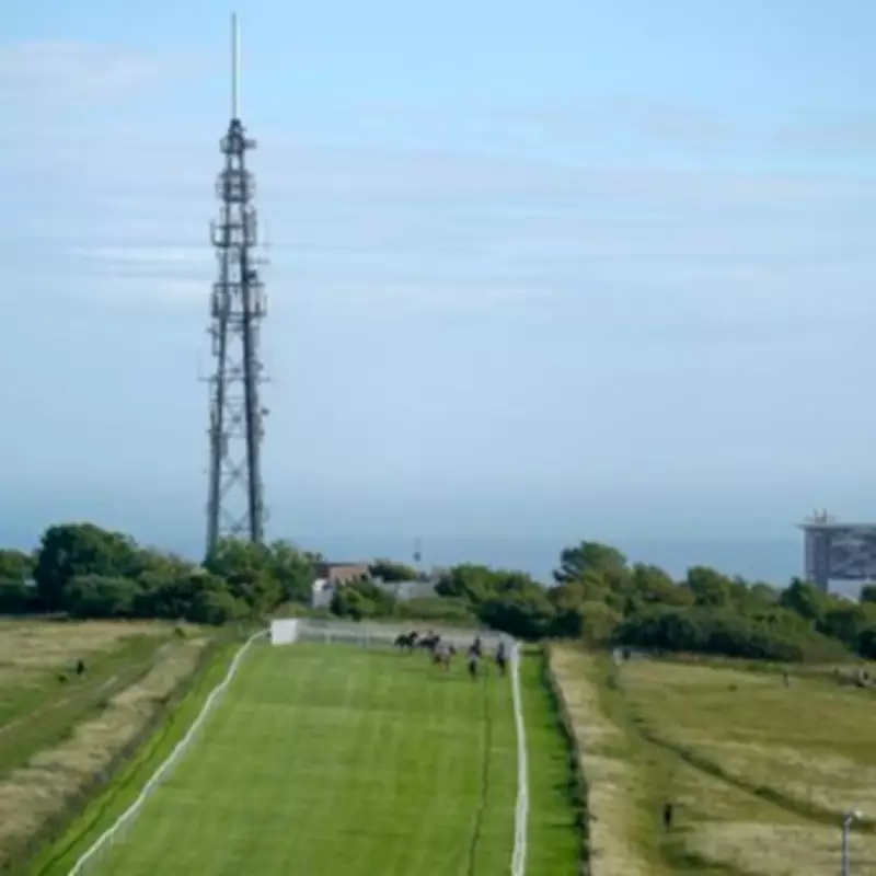 Brighton Racecourse Loses Two More Fixtures Due to Bug Infestation