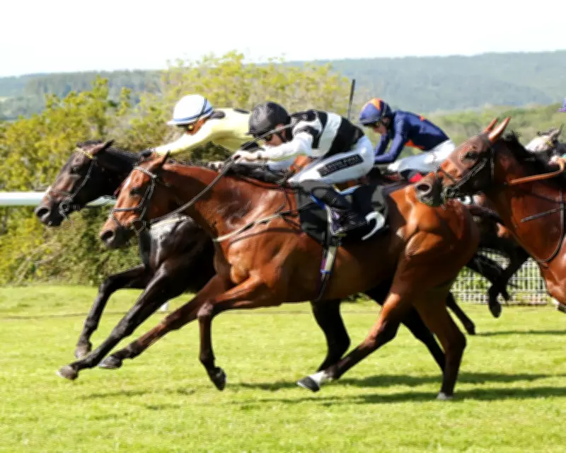 British racing on alert as equine flu cases surge across the country