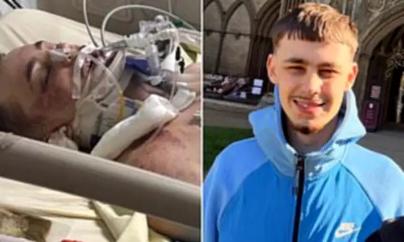 British Tourist in Thailand Fight for Life After Falling from Truck