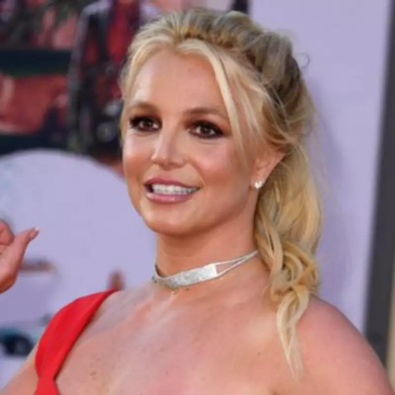 Britney Spears DUI Video Shows Her Offering to Make Cops Lasagna