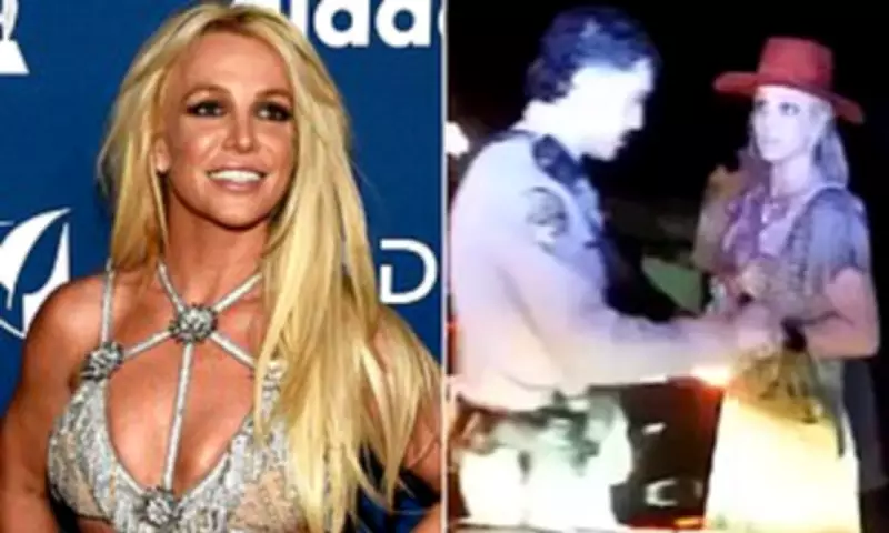Britney Spears Hints at 'Interesting Year' in Deleted Instagram Post