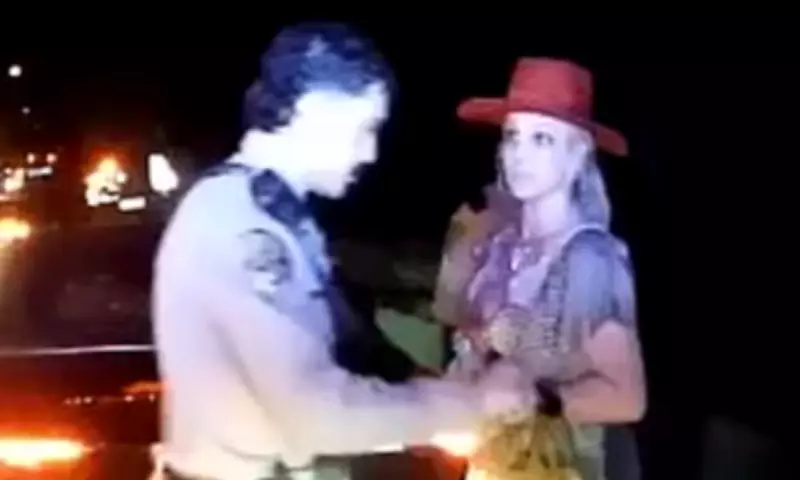 Britney Spears Used British Accent, Offered Lasagne to Police During Arrest