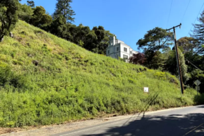 California Couple Fined $915,000 for Cutting Down 38 Protected Trees in Oakland