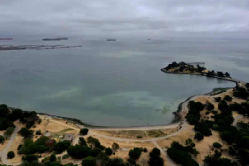 California Land Sells for $250 at Auction, But It's Underwater