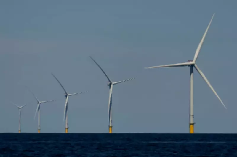 California Probes Trump Offshore Wind Lease Buyout Deal