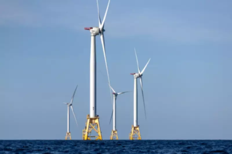 California Probes Trump's $2B Deal to Scrap Offshore Wind