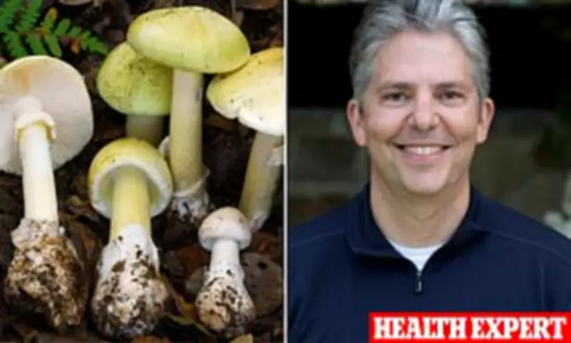 California Sees Unprecedented Mushroom Poisoning Outbreak with 4 Deaths